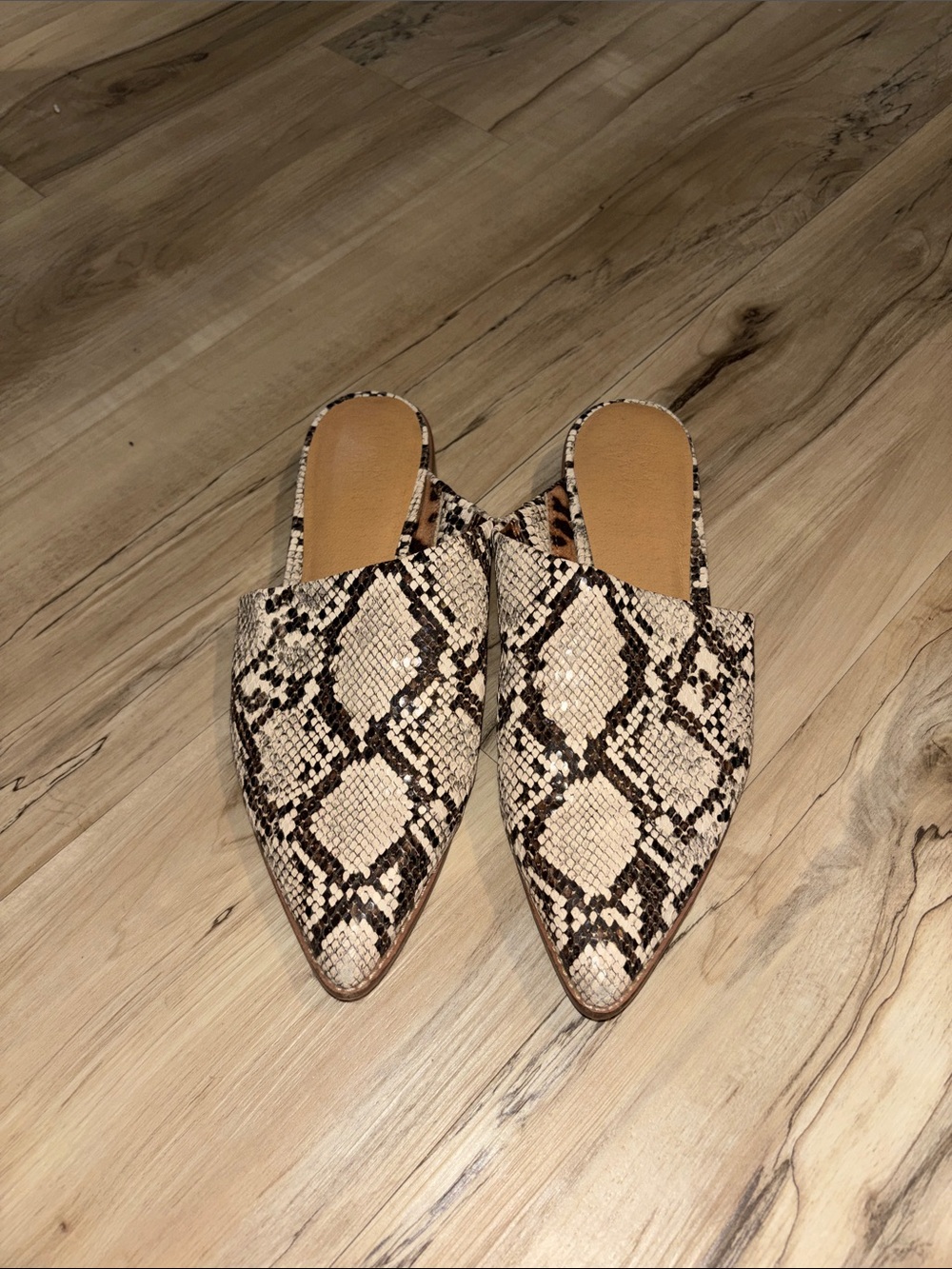 Women’s Faux Snakeskin Pointed Mule -